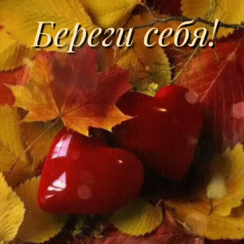 Бедеги тебя