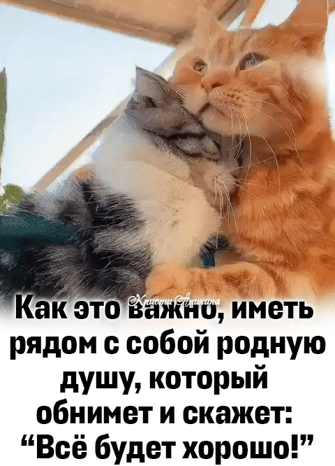 ак это важно иметь рядом с собой родную душу который обнимет и скажет Всё будет хорошо