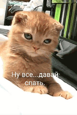 Ну вседав __ спать