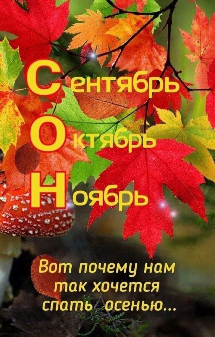 Вот почему Нам_ таок хочется