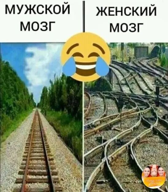 мужской жЕнский мозг мозг