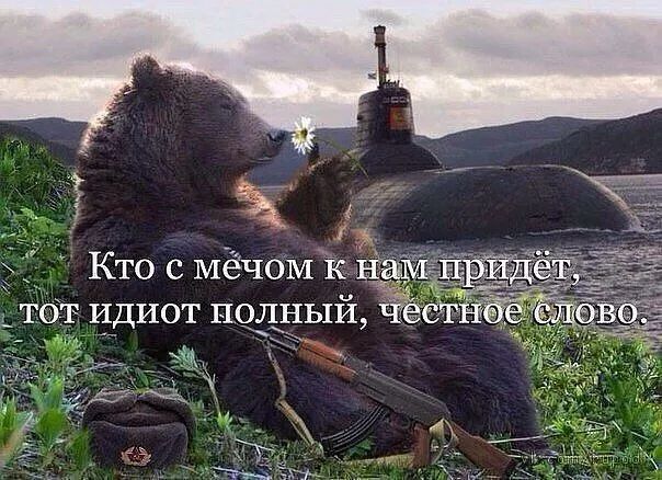 тот идиот нолный Чёсти