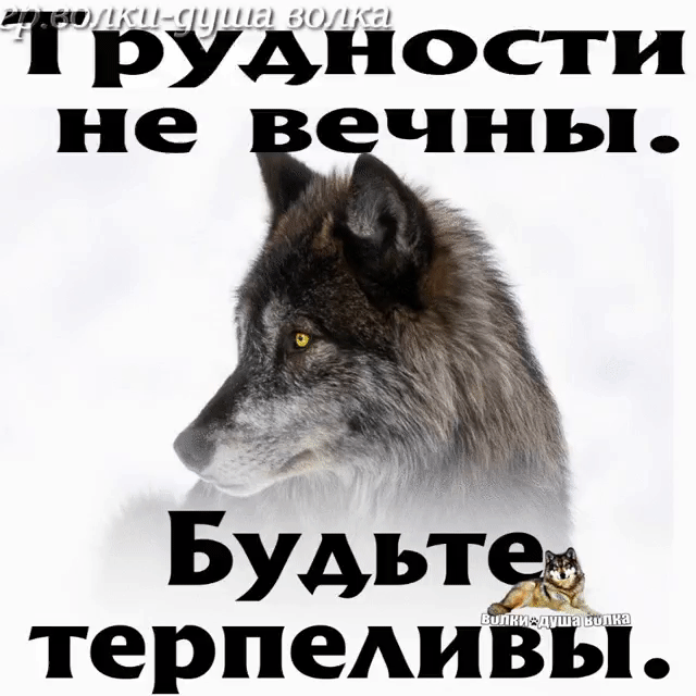 ТВудйости Будьтгё терпеАивш