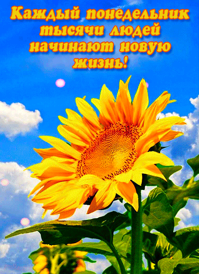 Каждыйдоиеідельник тысячи людей начинают новую Йиіпь