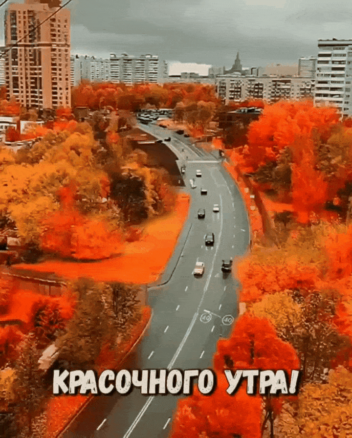 КРАСОЧНОГО УТРА _