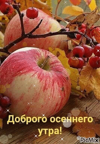 ы 31065096 ос егоіёг УТРЁЁ