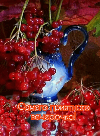 всчерочкоі А УХЦ