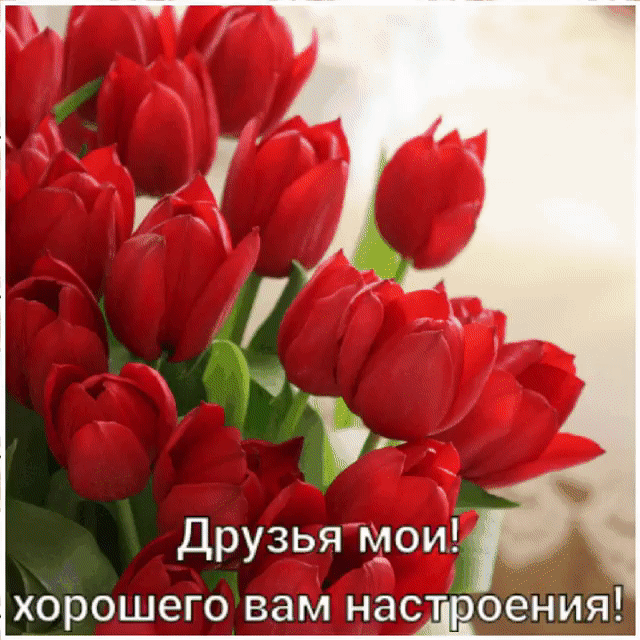 друзья мои хорошего вам настюения