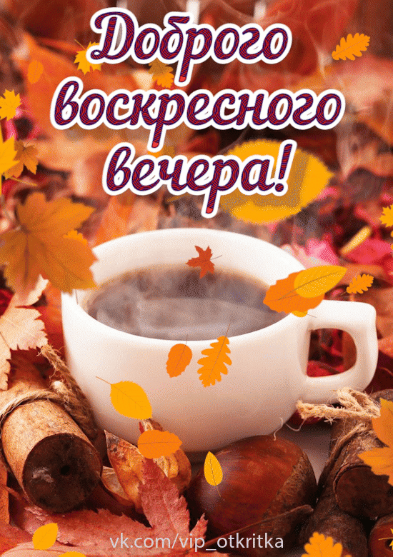 ЗасрідтлЁЛр_огіа Аёд