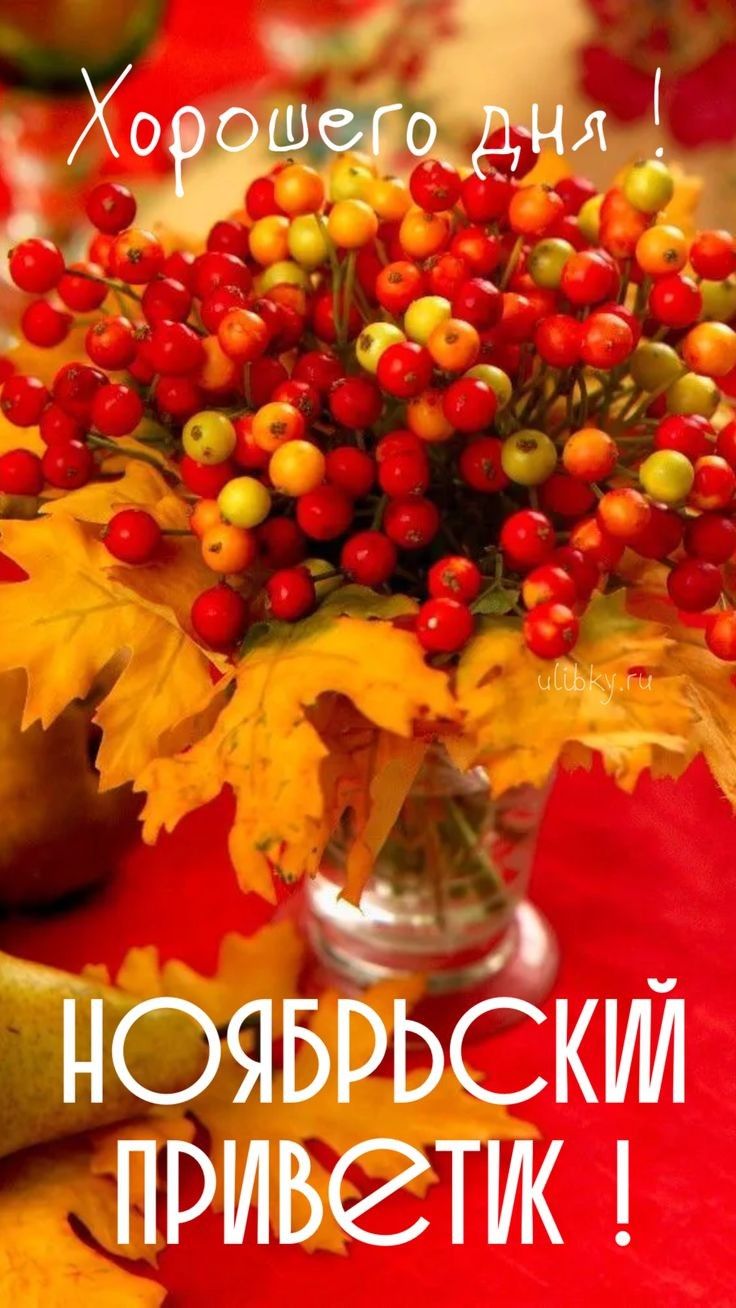 999 1 Р _ я НОЯБРЬСКіИ ПРИЮТЖ