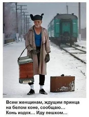 _ АЦ Всем женщинам ждущим принца на белом коне сообщаю Конь издох Иду пешком