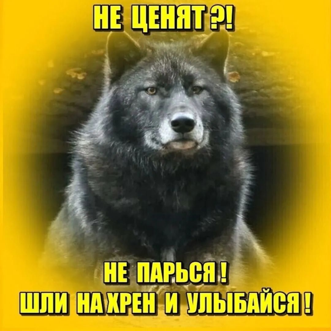 Щ ШПШЬАЁЕЁГЫЪЁШГШПБШЧЁЁШЧ