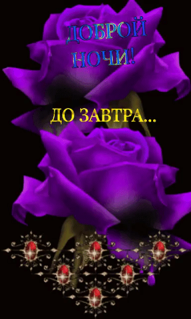 ночи