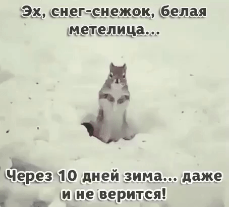 1335 ксън9Ггдивжок лзя не р_е_з 10 дней вниз даже _ ИШЁФЁРИГГСЦ