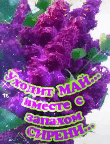 Уходит МАЙ...
Вместе с запахом СИРЕНИ...