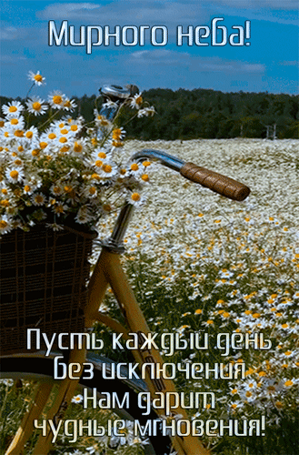 Мирного неба!
Пусть каждый день без исключения нам дарит чудные мгновения!