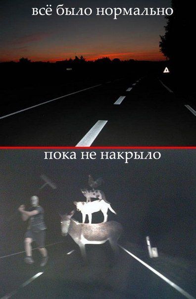всё было нормально А М _ пока не накрыло