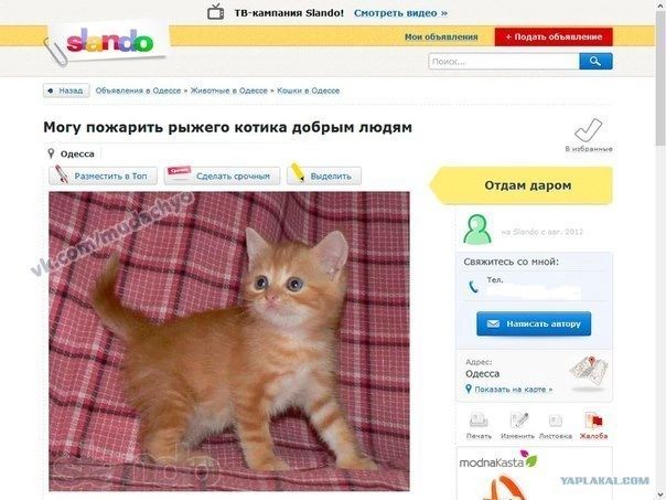 ш ц _мы и и р пр м шла пли