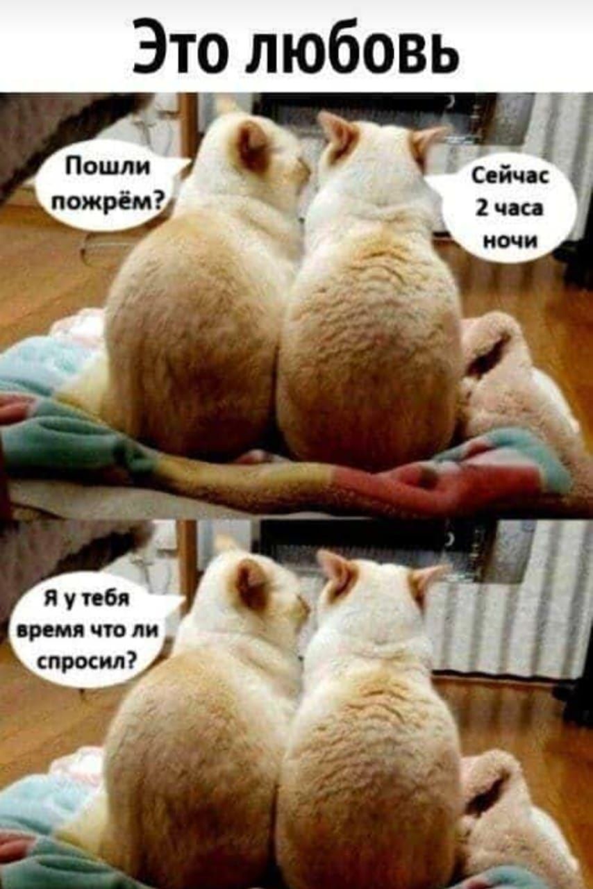 Это любовь