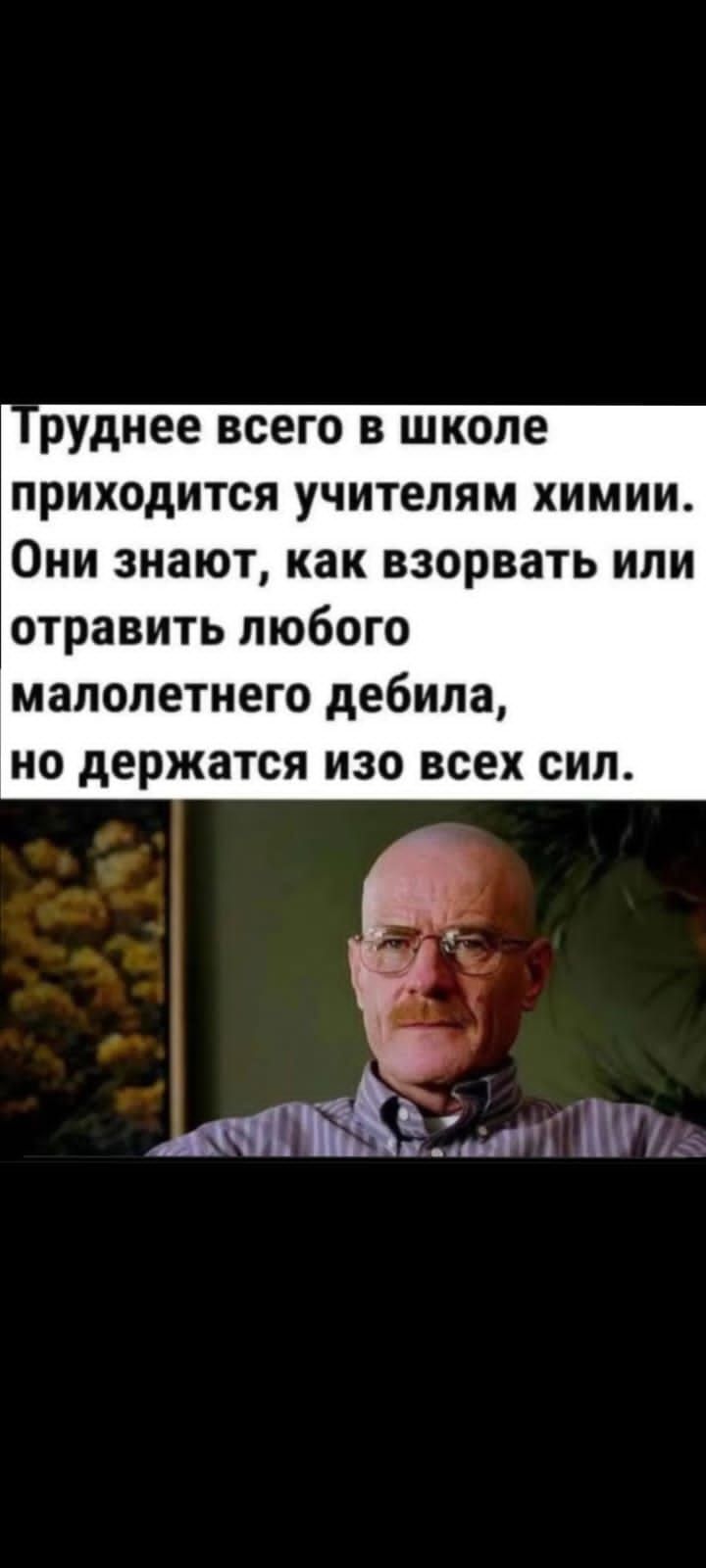 руднее ВСЕГО В школе приходится учителям ХИМИИ они знают как взорвать ИЛИ отравить любого малолетнего дебила но держатся изо всех сил ЁЁ