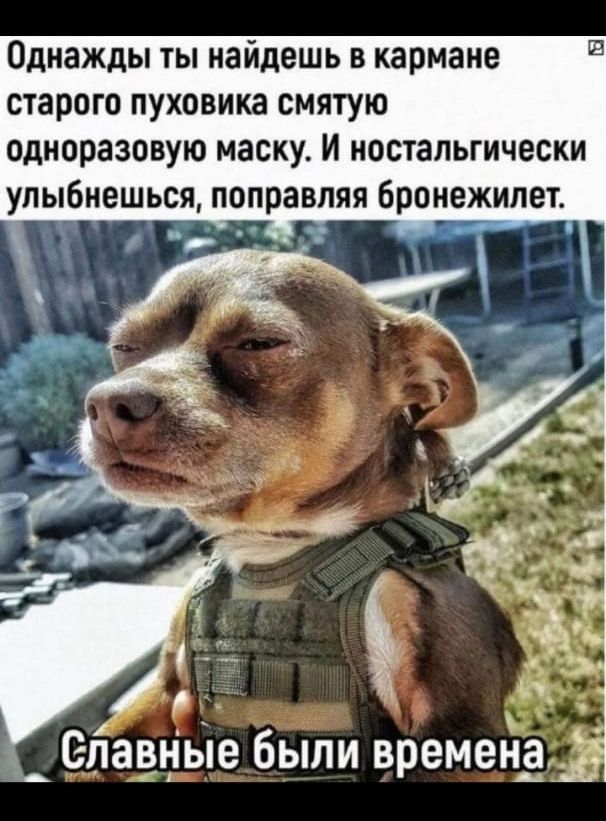 Однажды ты найдешь в кармане старого пуховика смятую одноразовую маску и иостапьгически упыбнешься поправляя бронежилет А вязаные были времен_а_