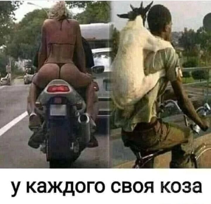 У К8КД0Г0 СВОЯ КОЗЭ