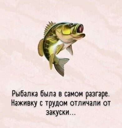 Рыбалка была в самом разгаре Наживку с трудом отличали от закуски