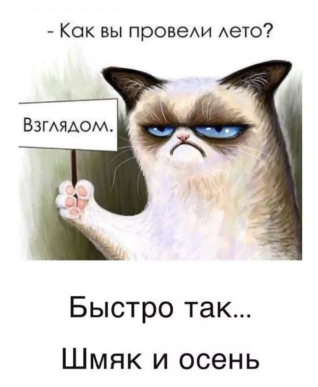 Как вы провехи Аето Быстро так Шмяк и осень