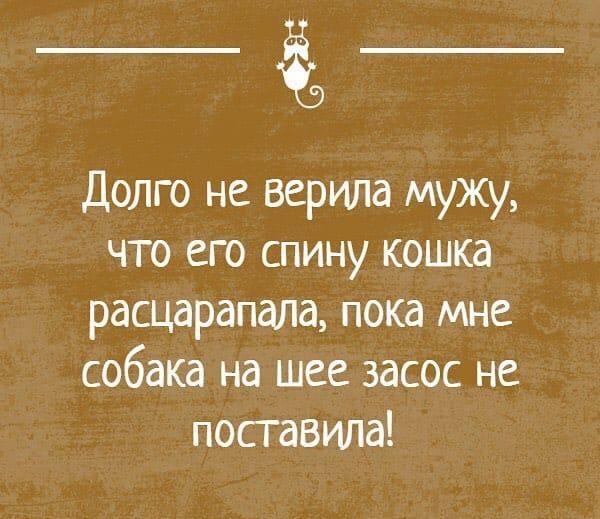 Долго не верила мужу что его спину кошка расцарапала пока мне собака на шее засос не поставила