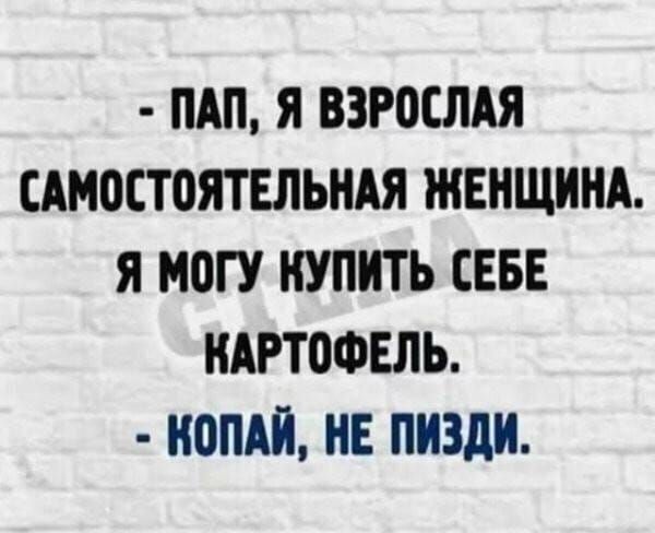 АП Я ВЗРПЕЛАЯ САМВЕТПЯТЕЛЬНАЯ ЖЕНЩИНА Я МОГУ КУПИТЬ СЕБЕ КАРТОФЕЛЬ ПОПА НЕ ПИЗдИ