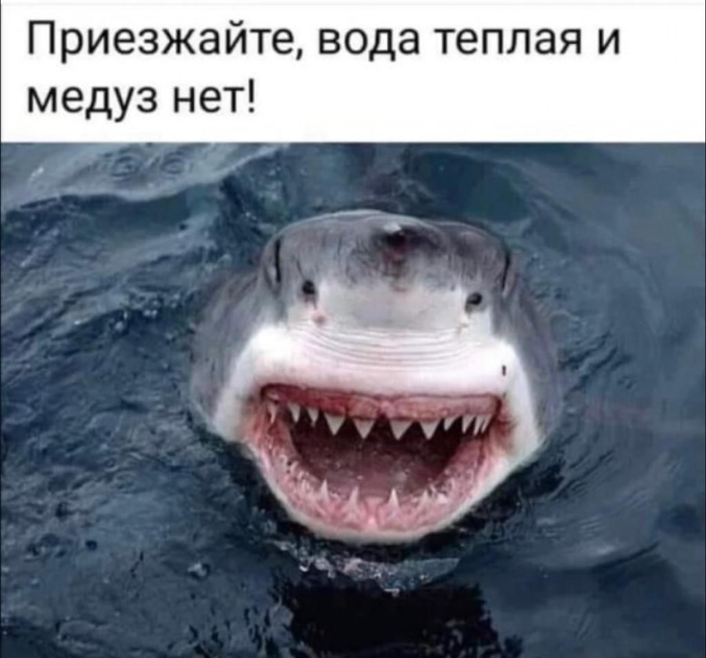 Приезжайте вода теплая и медуз нет