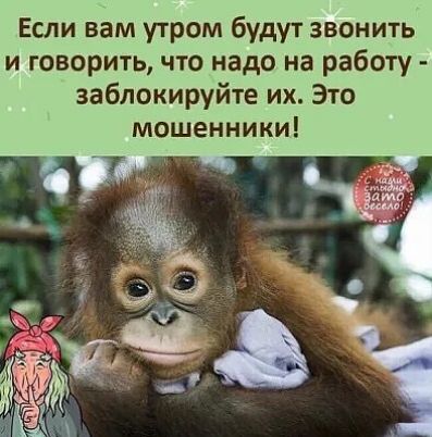Если вам утром будут звонить и говорить что надо на работу заблокируйте их Это мошенники