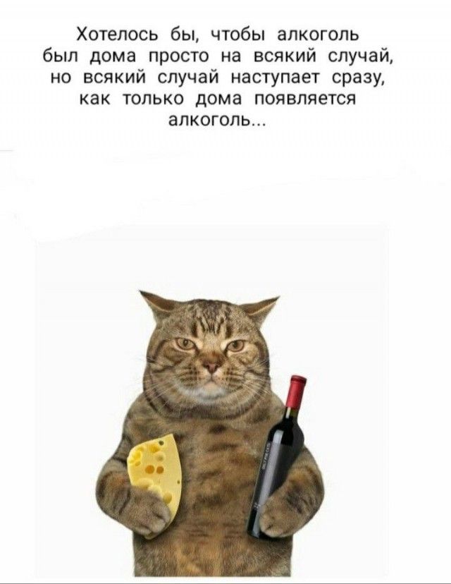 Хотелось бы чтбы алкоголь был дома просто на всякий случай на всякий случай наступает срази как только дома появляется алкоголь