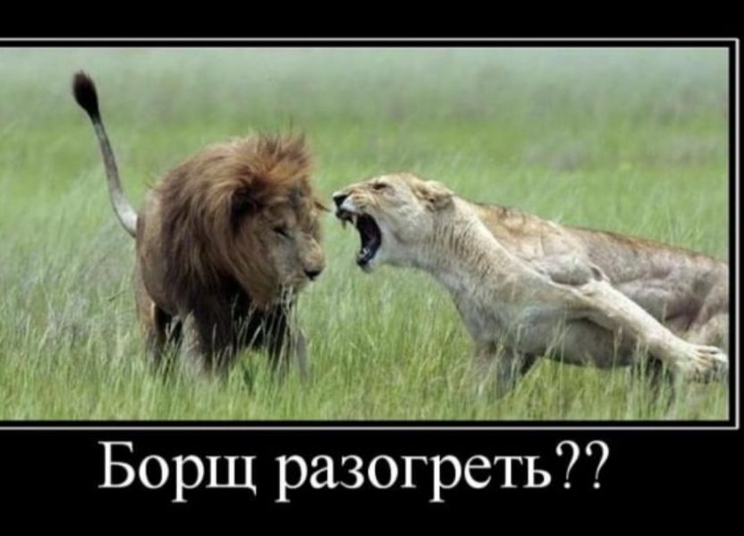 Борщ разогреть