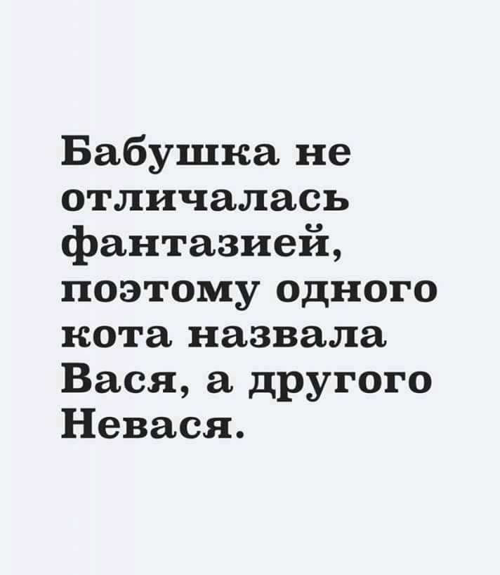 Бабушка не отличалась фантазией поэтому одного кота назвала Вася другого Невася