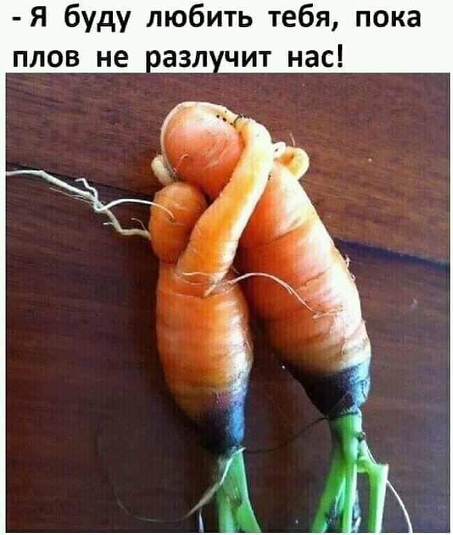 Я буду любить тебя пока плов не азп чит нас