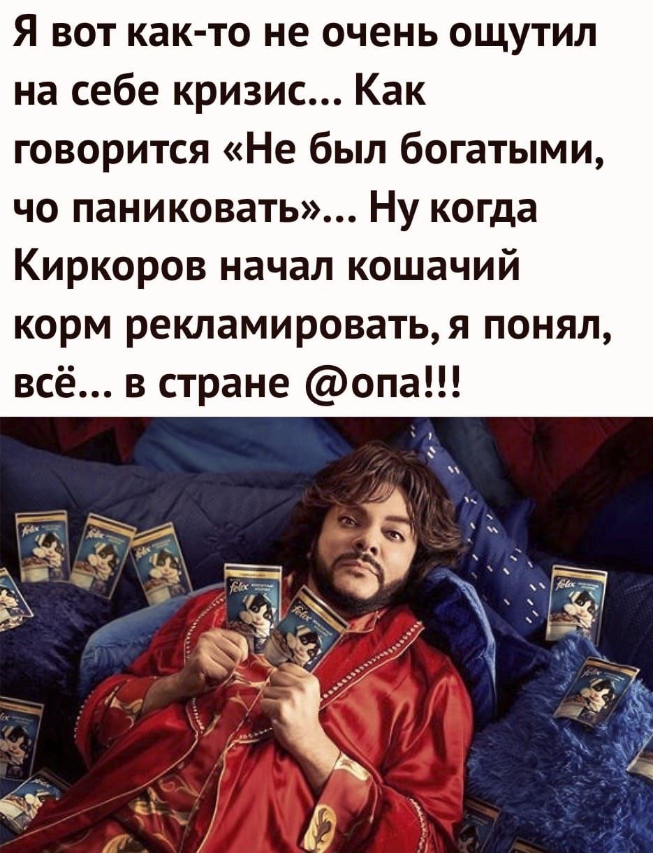 Я вот как то не очень ощутил на себе кризис Как говорится Не был богатыми чо паниковать Ну когда Киркоров начал кошачий корм рекламироватья понял всё в стране опа
