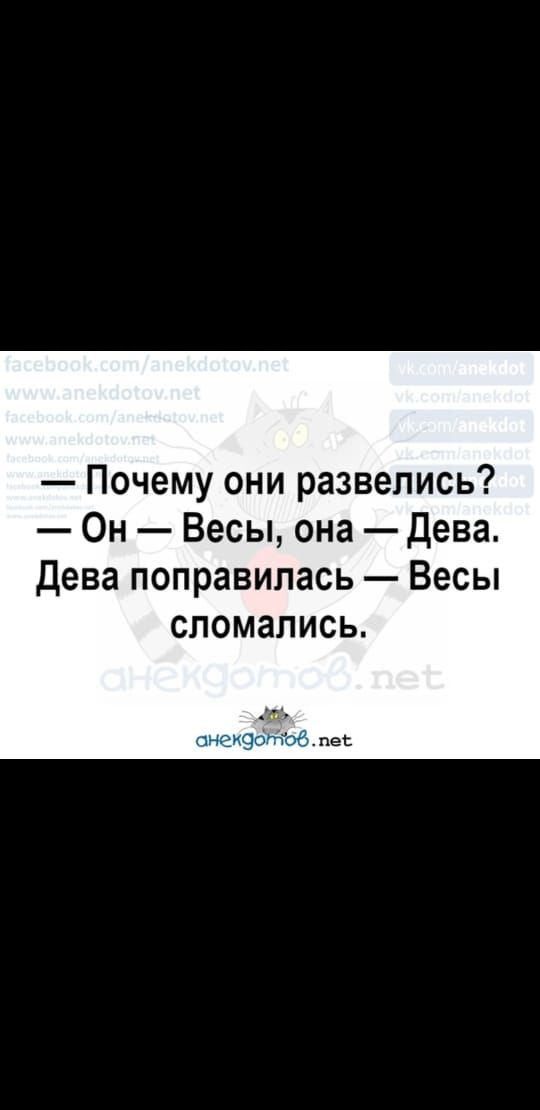 Почему они развелись Он Весы она Дева Дева поправилась Весы сломались анежфтоб пес