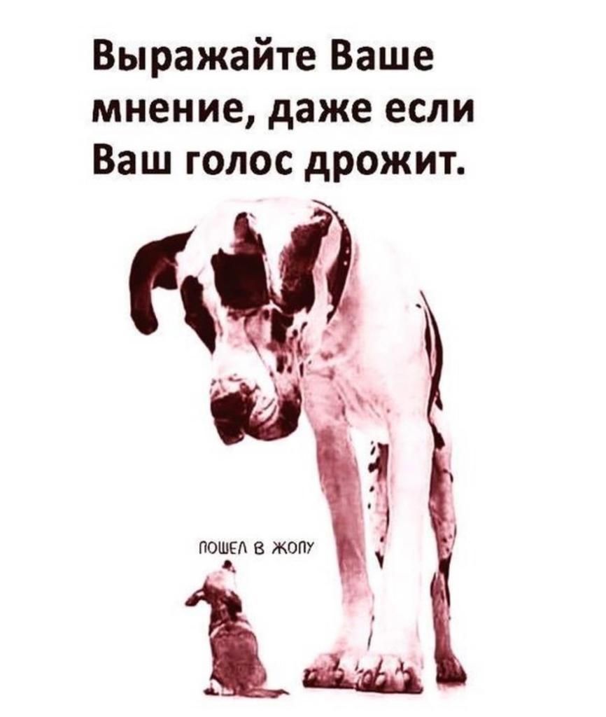 Выражайте Ваше мнение даже если Ваш голос дрожит 9
