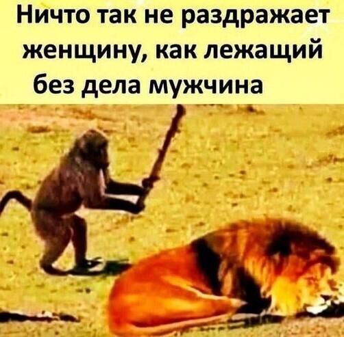 Ничто так не раздражает женщину как лежащий без дела мужчина