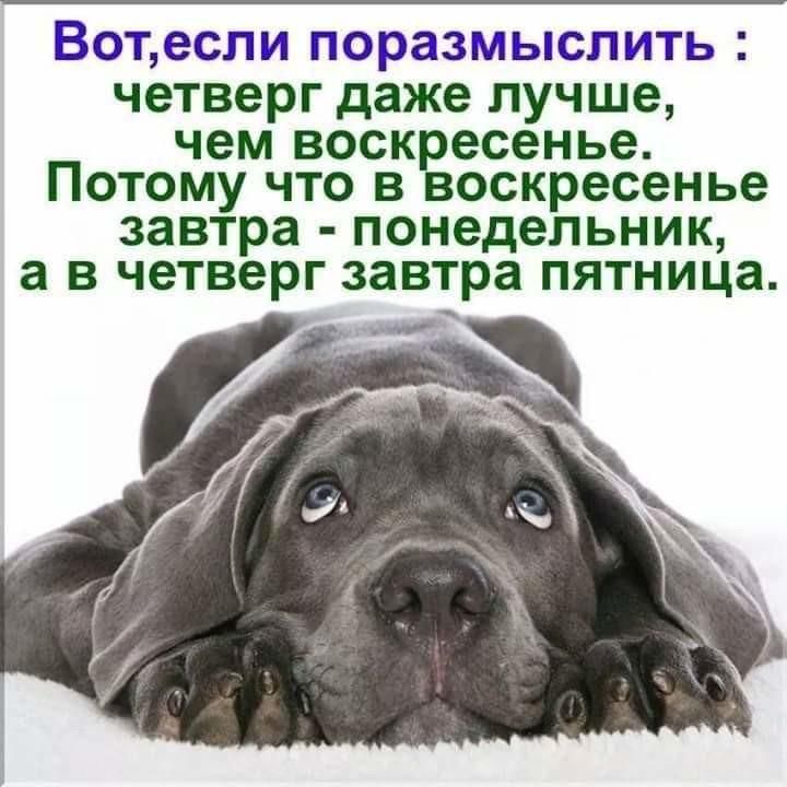 Вотесли поразмыслить четверг даже лучше чем воск есенье Потому что в оскресенье завтра понедельник а в четверг завтра пятница