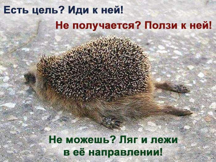 Есть цепь Иди к ней Не получается Папам к ней Не можешь Ляг и пежи _ в её направлении