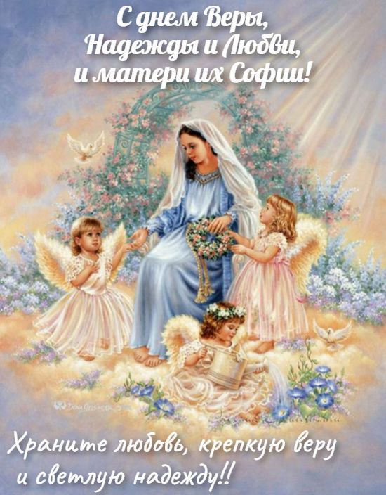 ЁЦіи 31171 Шиц ЪЦ П гм