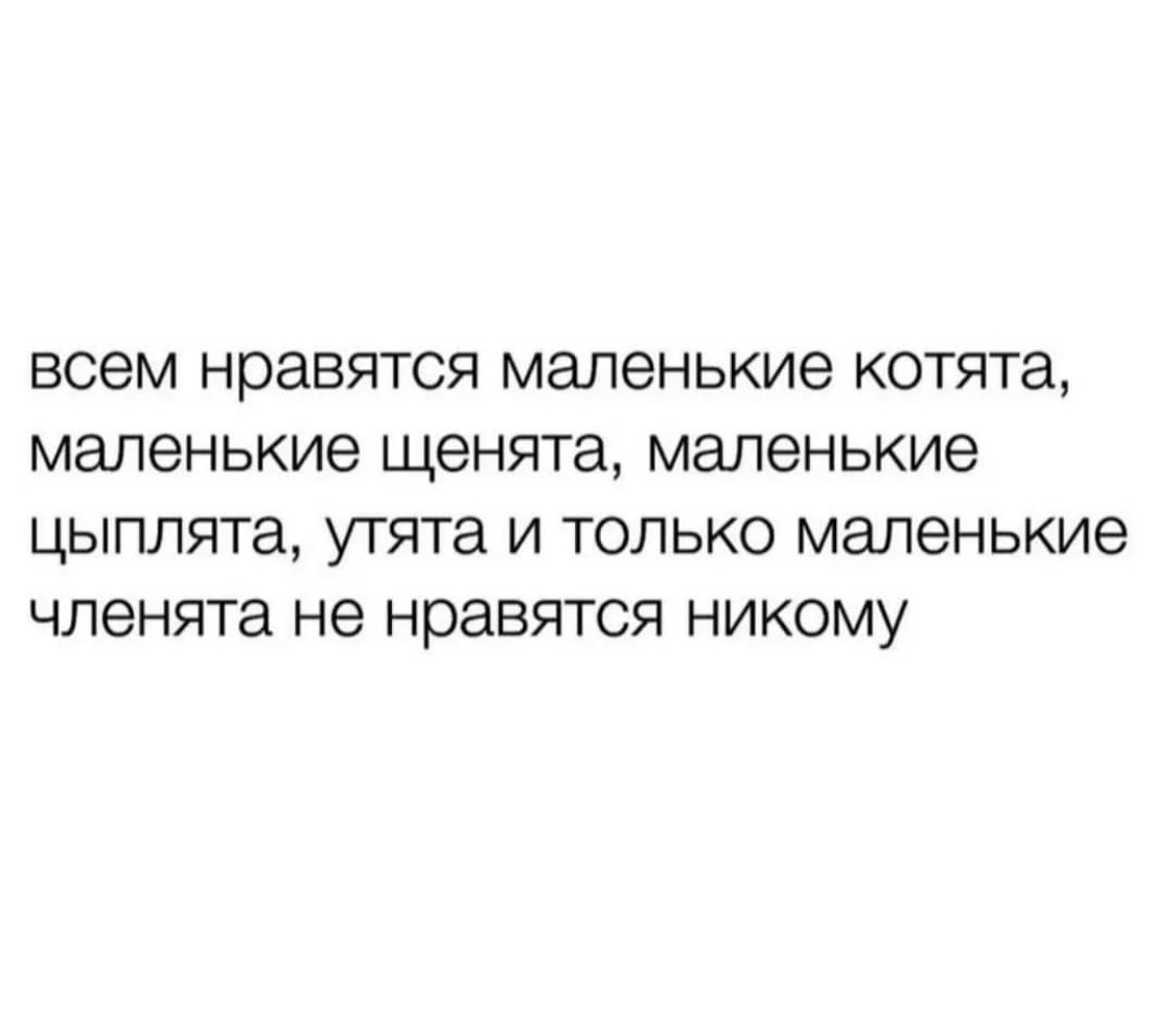 всем нравятся маленькие котята маленькие щенята маленькие цыплята утята и только маленькие членята не нравятся никому