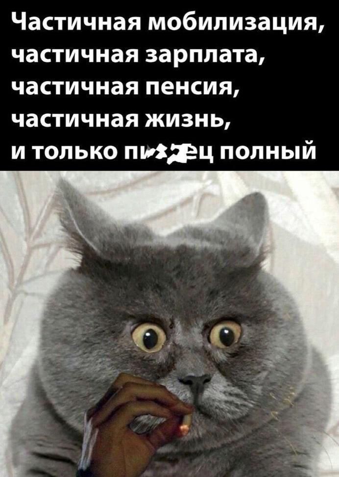 Частичная мобилизация частичная зарплата частичная пенсия частичная жизнь и только пиздец полный