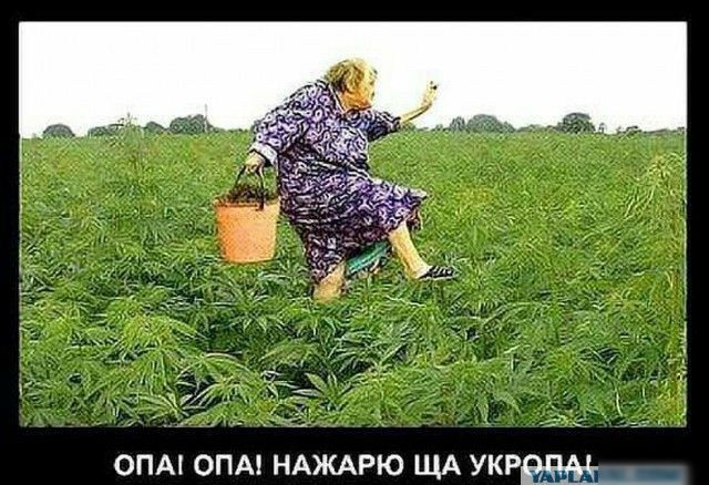 ОПАК ОПА НАЖАРЮ ЩА УКРЩ
