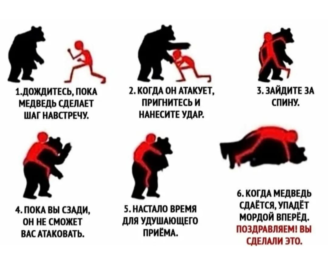 мкад хложлтсь иш кони пи шит тип мшвш лица пришить и спину шдг пинту мик шп копи мшщь иш пы эти 5 ишшо шил штл пили и И ножи для УЛУШАЮЩЕШ д Ед ш Ашоип пгиЕмд ШИ вы шими по