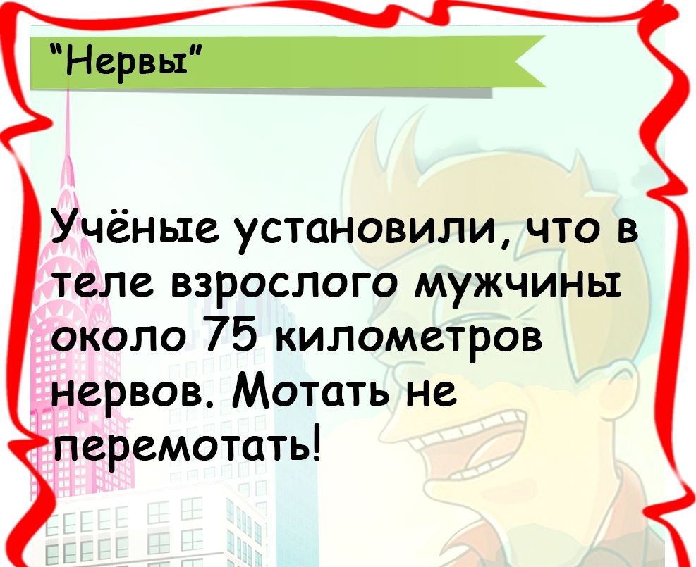 Учёные установили что в теле взрослого мужчины около 75 километров нервов Мотать не 1 перемотать щ сотщтгш