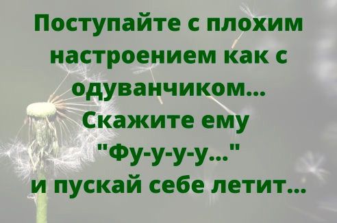 Поступайте с плохим настроением как с одуванчиком Скажите ему ФУУУУ и и пускай себе летит