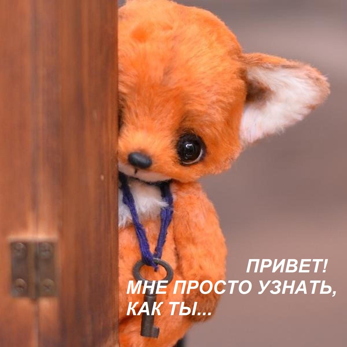 ПРИВЕТ ТО УЗНАТЬ